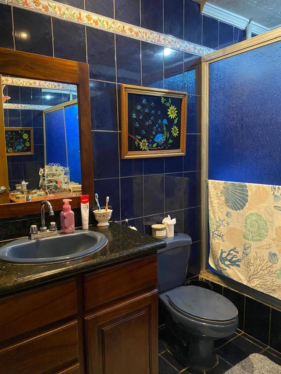 Alexander B&B Alajuela Bagian luar foto