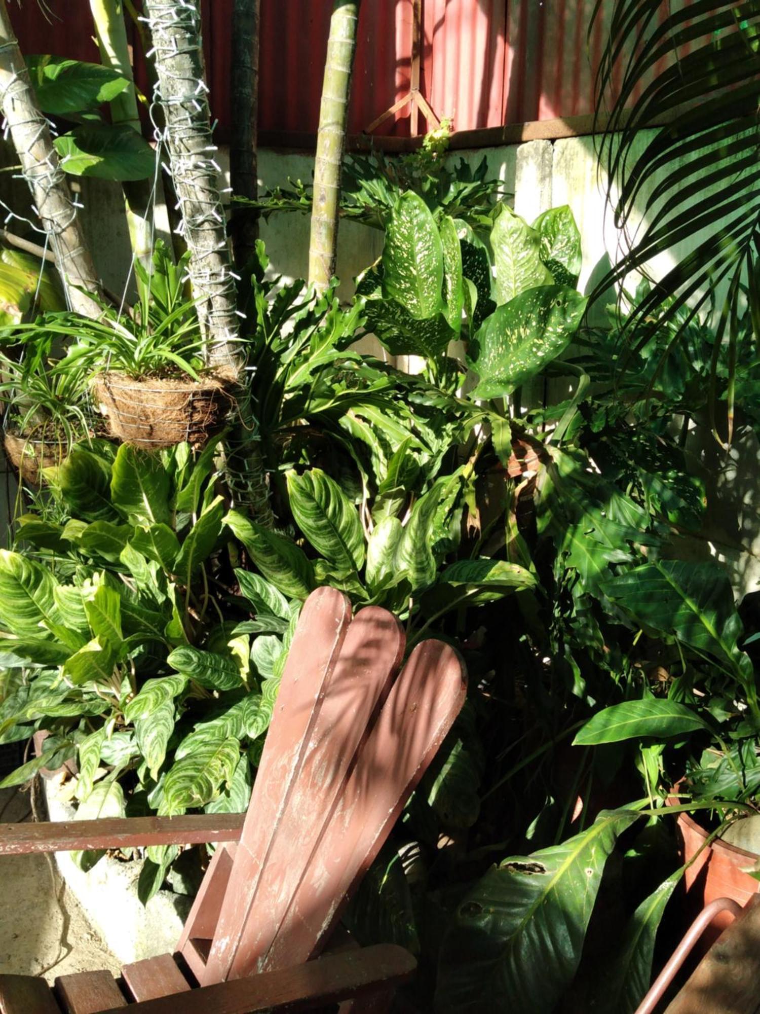 Alexander B&B Alajuela Bagian luar foto